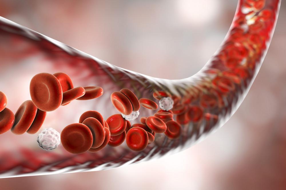 illustration of blood cells in vein