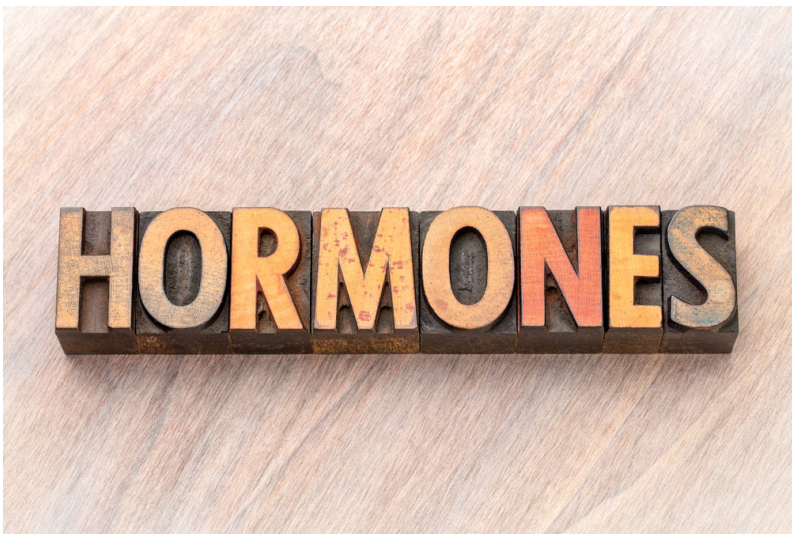 Top Hormone Clinic in Los Angeles